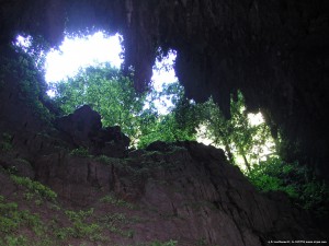 Camuy Caves3