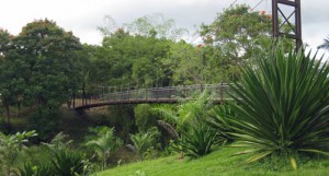 Jardin Botanico Caguas 02