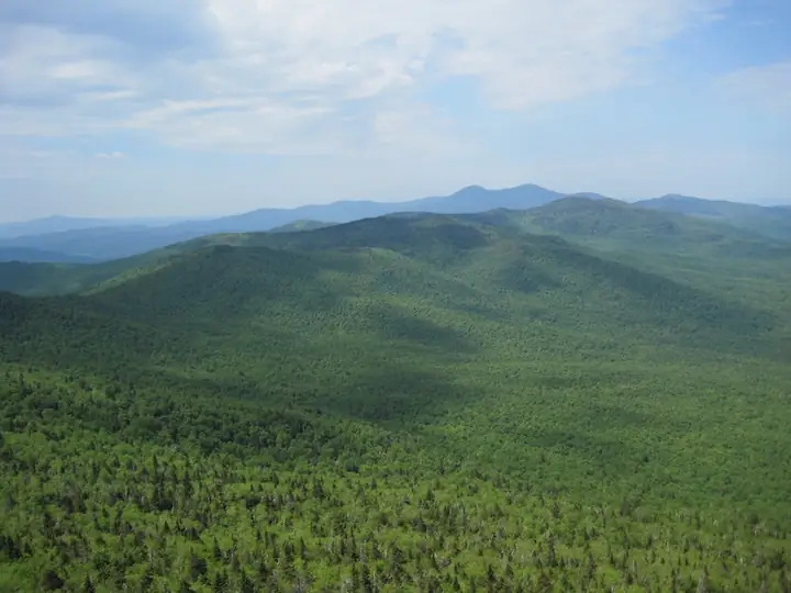 Guajataca Forest