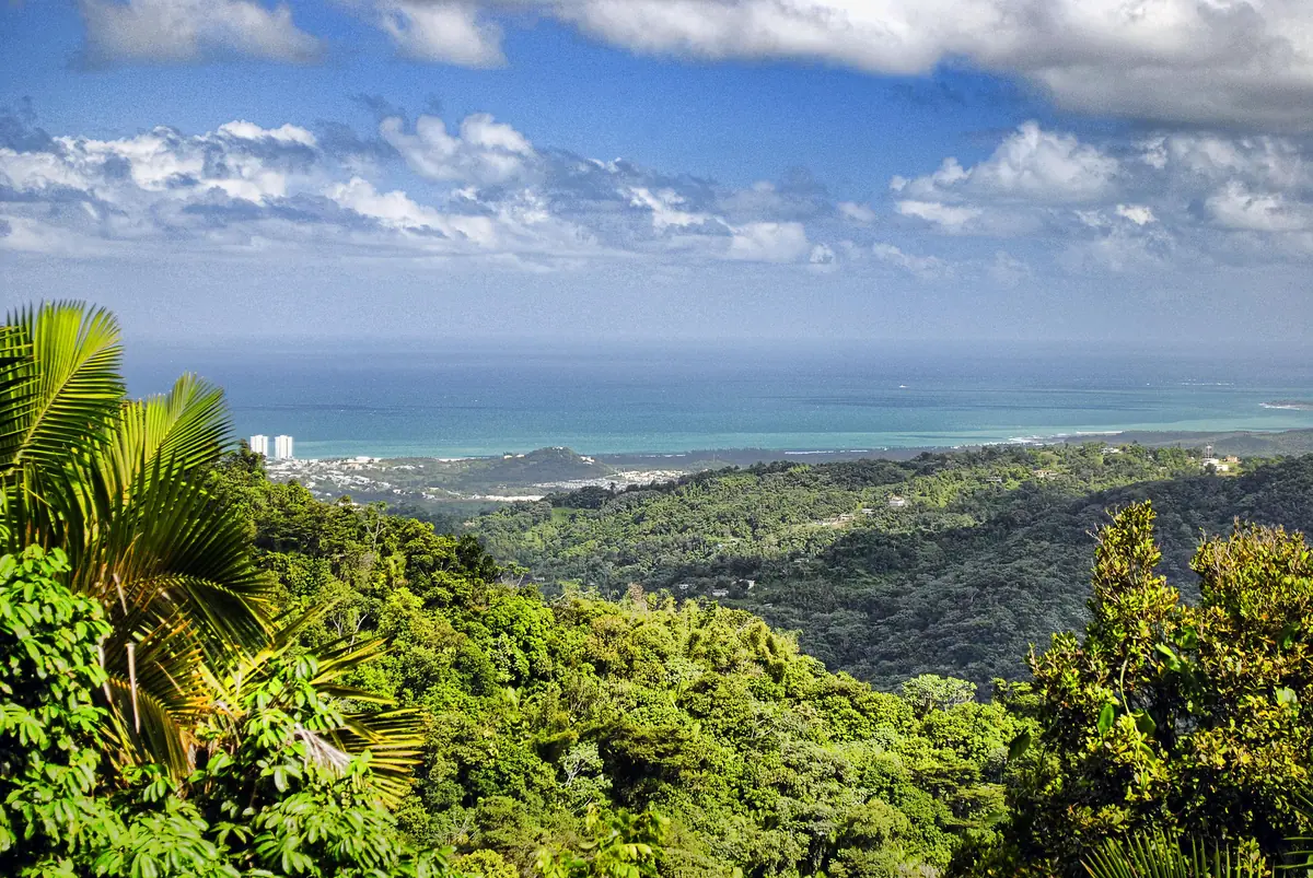 El Yunque