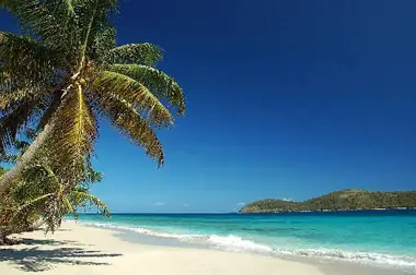 Top Things To Do in Puerto Rico