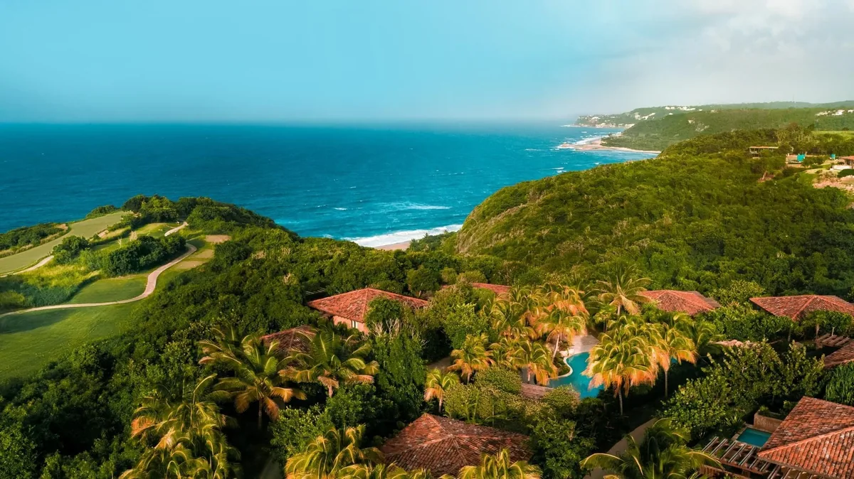 Aerial view of Royal Isabela casitas, gardens and the ocean coastline.