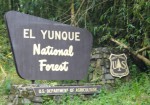 El Yunque 1