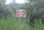 Monte del Estado 1