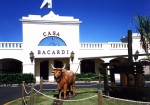 Casa Bacardi 01