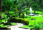 Jardin Botanico San Juan 03