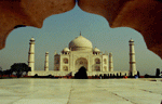 taj-1