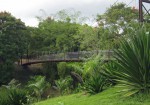 Jardin Botanico Caguas 02